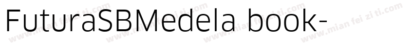 FuturaSBMedela book字体转换